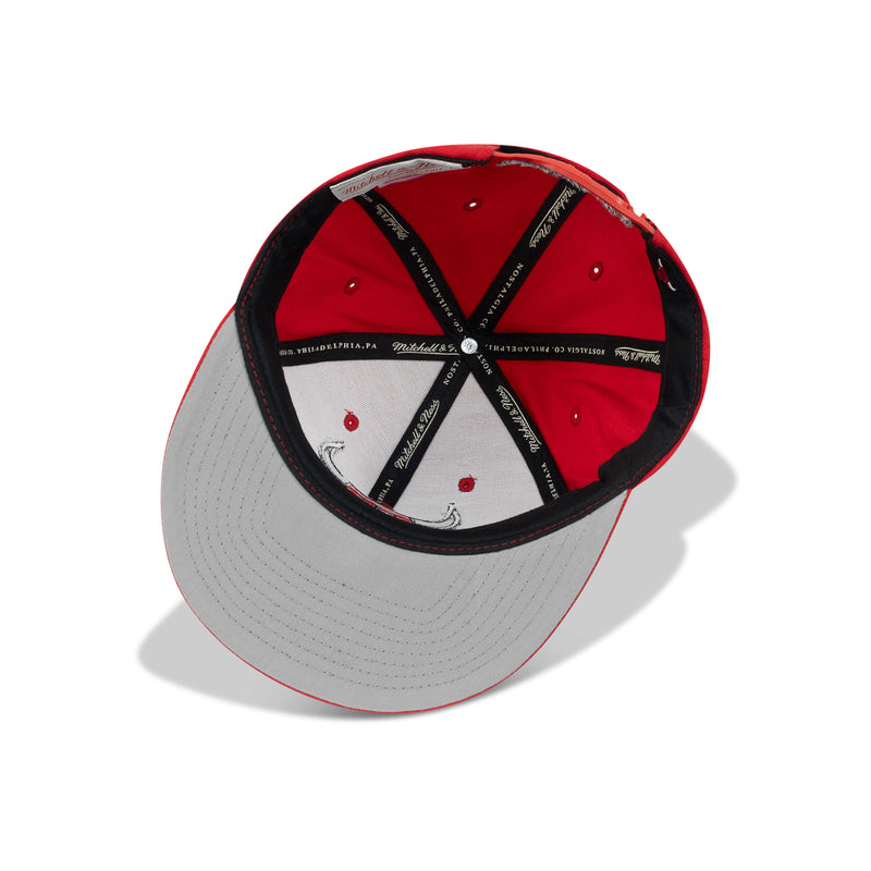 Mitchell & Ness Chicago Bulls Team Ground Snapback Grey Bottom 