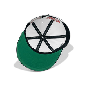 Mitchell & Ness Chicago Bulls NBA Back To 93 Snapback Green Bottom 