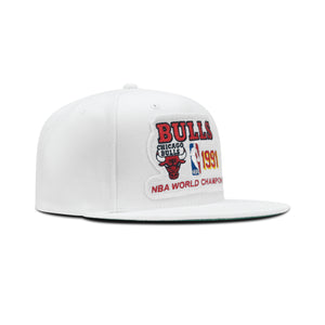 Mitchell & Ness Chicago Bulls NBA 91 Champs Snapback Green Bottom 