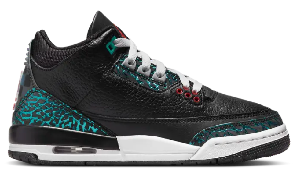 Air Jordan 3 Retro SE (GS) 