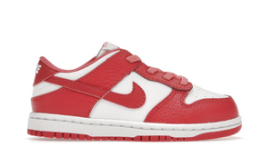 Nike Air Dunk Low (TD) 