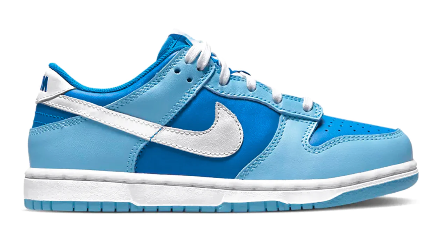 Nike Air Dunk Low QS (PS) 